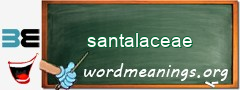 WordMeaning blackboard for santalaceae